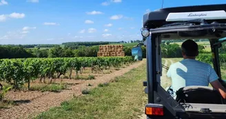 Domaine de la Chevalerie - Vignoble Pelletant Domaine de la Chevalerie - Vignoble Pelletant