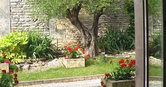 Sémillon