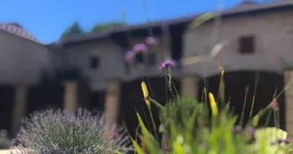 La Grue - Gîte Verre