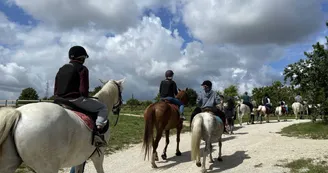 Balade à cheval en famille ou entre amis
