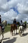 Balade à cheval en famille ou entre amis